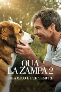 Qua la zampa 2 - Un amico è per sempre (2019) - Film Streaming HD