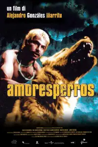 Amores perros (2000) - Film Streaming HD