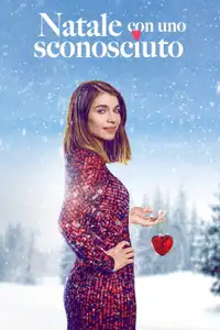 Natale con uno sconosciuto (2019) - Serie TV Streaming HD