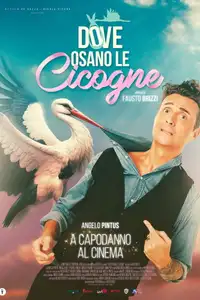 Dove osano le cicogne (2025) - Film Streaming HD