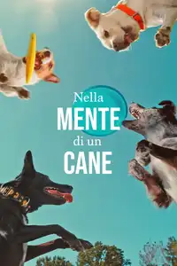 Nella mente di un cane (2024) - Film Streaming HD