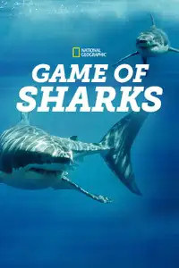 Game of Sharks (2022) - Film Streaming HD