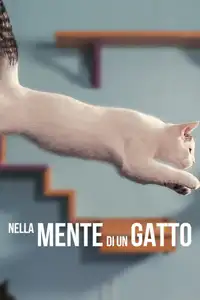 Nella mente di un gatto (2022) - Film Streaming HD
