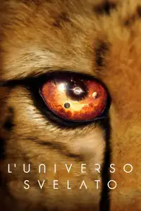 L'universo svelato (2022) - Serie TV Streaming HD
