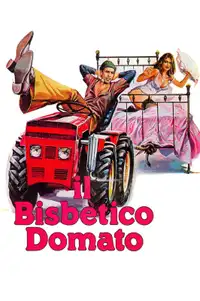 Il bisbetico domato (1980) - Film Streaming HD