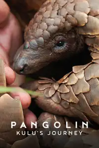 Pangolin (2025) - Film Streaming HD