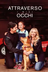 Attraverso i miei occhi (2019) - Film Streaming HD