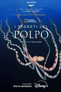 I segreti del polpo (2024) - Serie TV Streaming HD