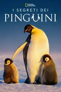 I segreti dei pinguini (2025) - Serie TV Streaming HD