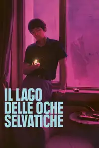 Il lago delle oche selvatiche (2019) - Film Streaming HD