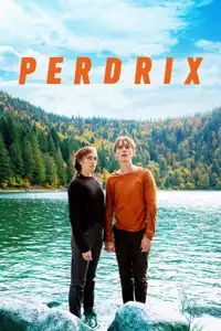 Perdrix (2019) - Film Streaming HD