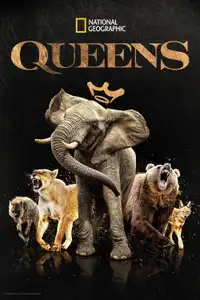 Queens: le regine della natura (2024) - Serie TV Streaming HD