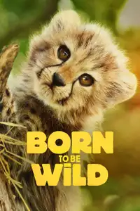 Born to Be Wild (2025) - Serie TV Streaming HD