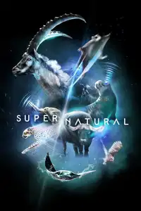 Super/Natural (2022) - Serie TV Streaming HD