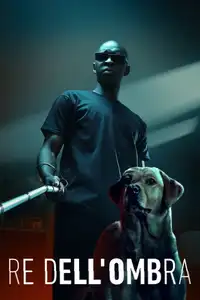 Re dell'ombra (2023) - Film Streaming HD