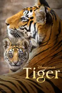 Tiger (2024) - Film Streaming HD