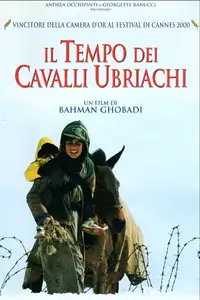 Il tempo dei cavalli ubriachi (2000) - Film Streaming HD