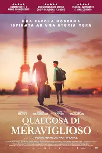 Qualcosa di meraviglioso (2019) - Film Streaming HD