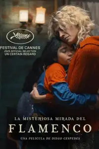 La misteriosa mirada del flamenco (2025) - Film Streaming HD
