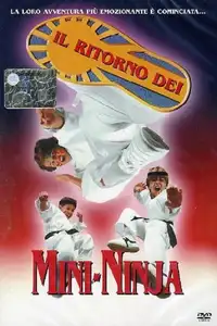 Il ritorno dei Mini-Ninja (1995) - Film Streaming HD