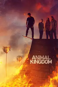 Animal Kingdom (2016) - Serie TV Streaming HD