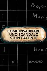 Come insabbiare uno scandalo stupefacente (2020) - Serie TV Streaming HD