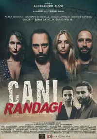 Cani randagi (2023) - Film Streaming HD