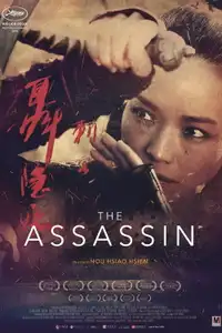 The Assassin (2015) - Film Streaming HD