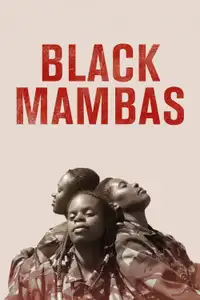Black Mambas (2022) - Film Streaming HD