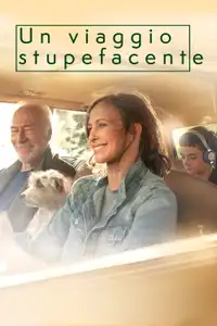 Un viaggio stupefacente (2018) - Film Streaming HD