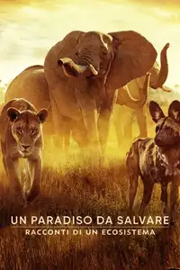 Un paradiso da salvare: racconti di un ecosistema (2022) - Film Streaming HD