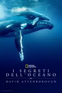 I Segreti Dell’oceano con David Attenborough (2025) - Film Streaming HD